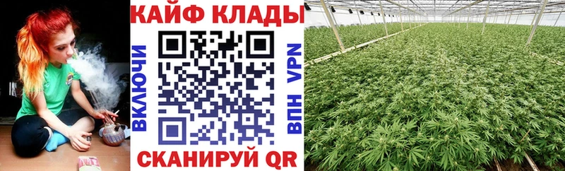 Наркотические вещества Сковородино COCAIN OMG tor APVP Гашиш Амфетамин Мефедрон Каннабис