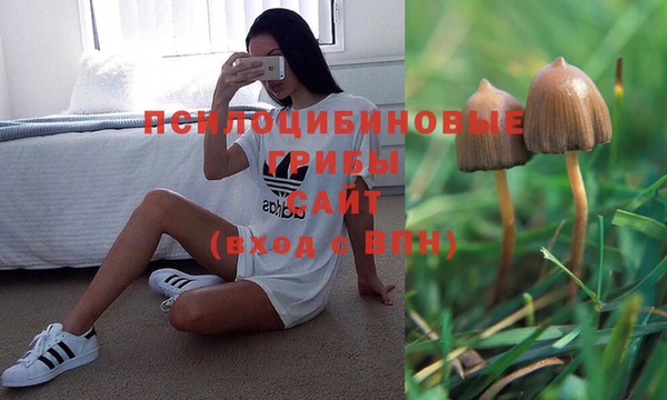 круглые Армянск