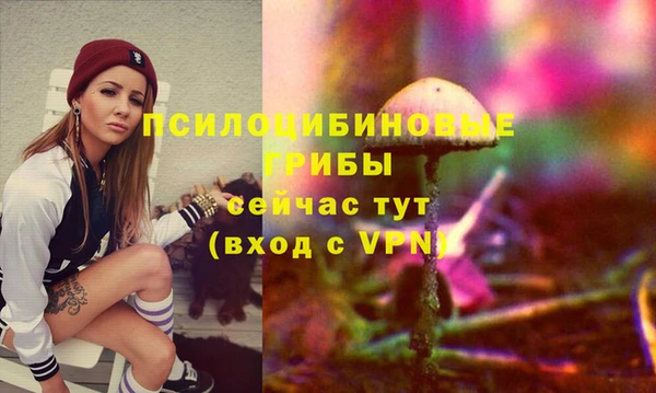 2c-b Арсеньев