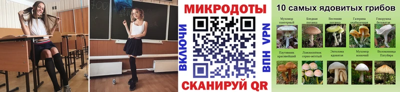 Галлюциногенные грибы Psilocybe MEGA вход Сковородино